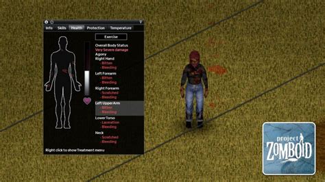 project zomboid scratched|project zomboid minor damage.